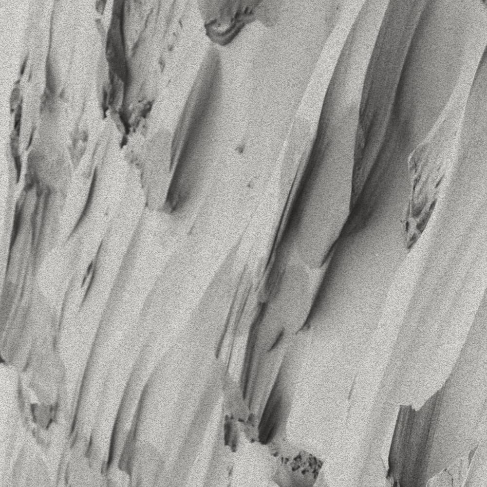 (Open Role) portrait